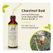 Bachblüten Chestnut Bud Tropfen 20 ml