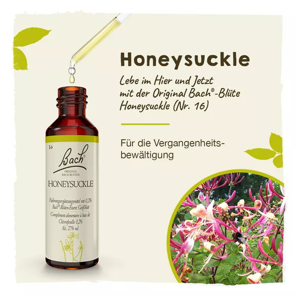 Bachblüten Honeysuckle Tropfen 20 ml