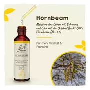 Bachblüten Hornbeam Tropfen 20 ml
