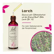 Bachblüten Larch Tropfen 20 ml