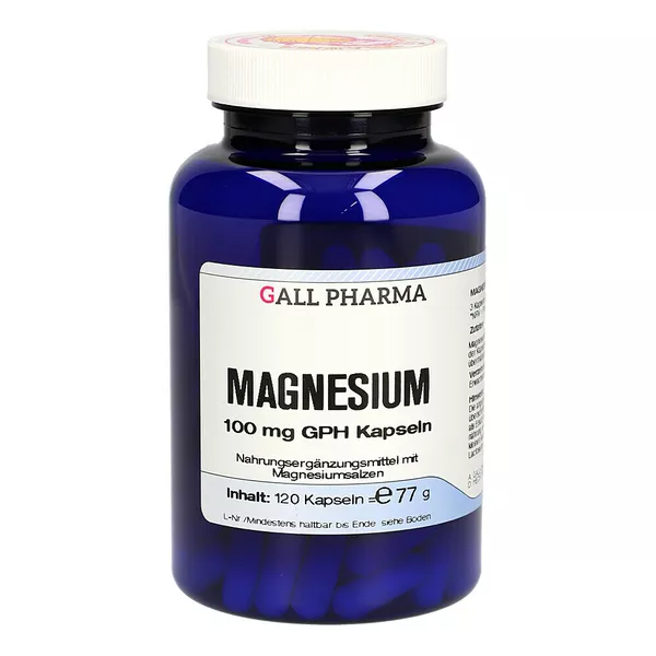 Magnesium 100 mg GPH Kapseln 120 St