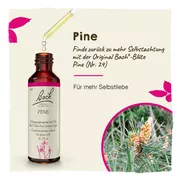 Bachblüten Pine Tropfen 20 ml