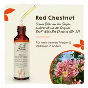 Bachblüten Red Chestnut Tropfen 20 ml