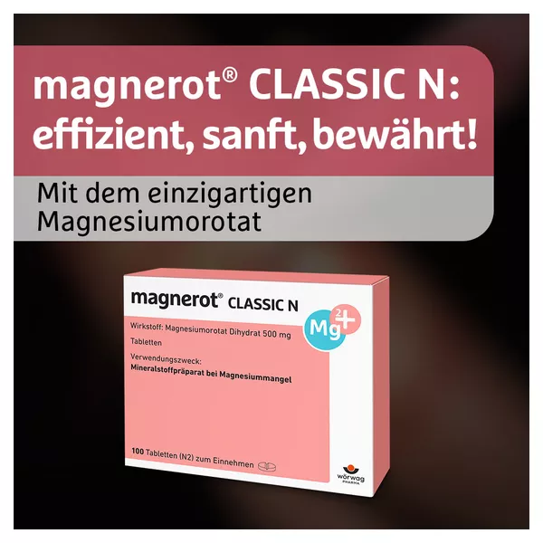 magnerot CLASSIC N, 100 St.