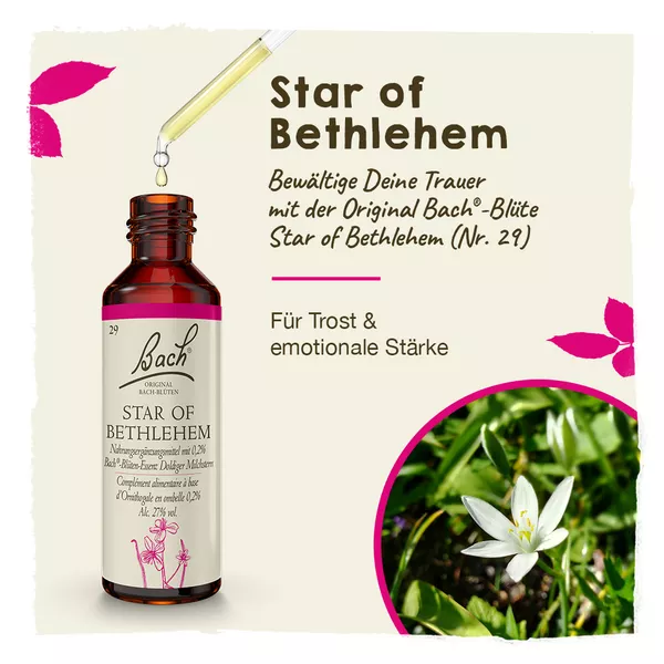 Original Bachblüten Star of Bethlehem 20 ml
