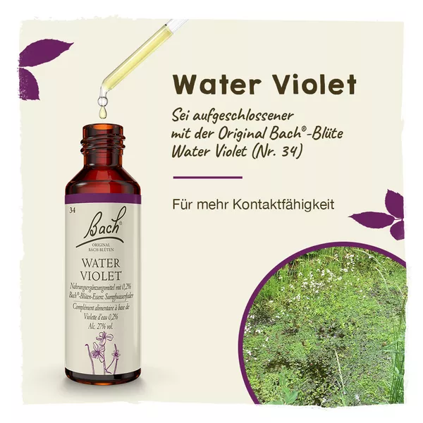 Bachblüten Water Violet Tropfen 20 ml