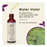 Bachblüten Water Violet Tropfen 20 ml