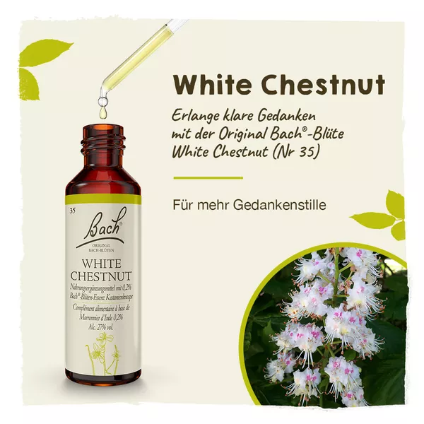 Original Bachblüten White Chestnut 20ml, 20 ml
