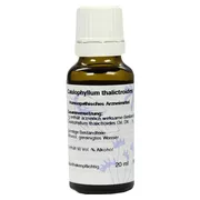 Produktabbildung: Caulophyllum D 6 Dilution 20 ml