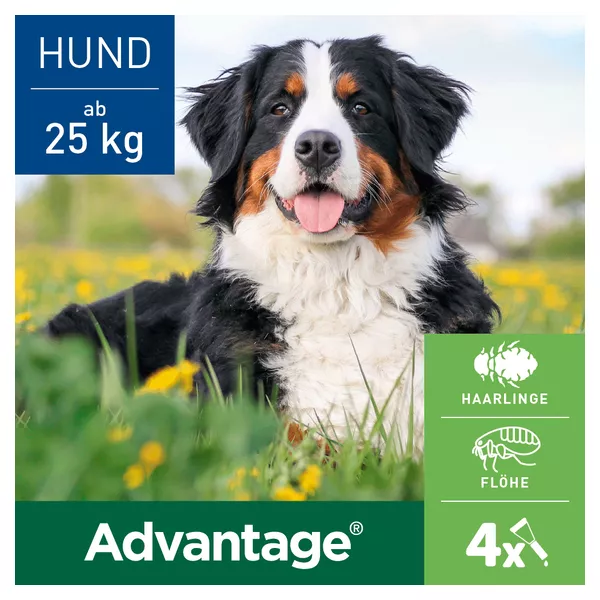 Advantage 400 für Hunde ab 25 Kg 1X4 St