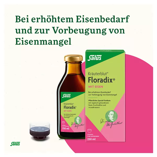Floradix mit Eisen Tonikum, 250 ml