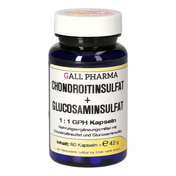 Chondroitinsulfat+glusosaminsulfat 1:1 G 60 St