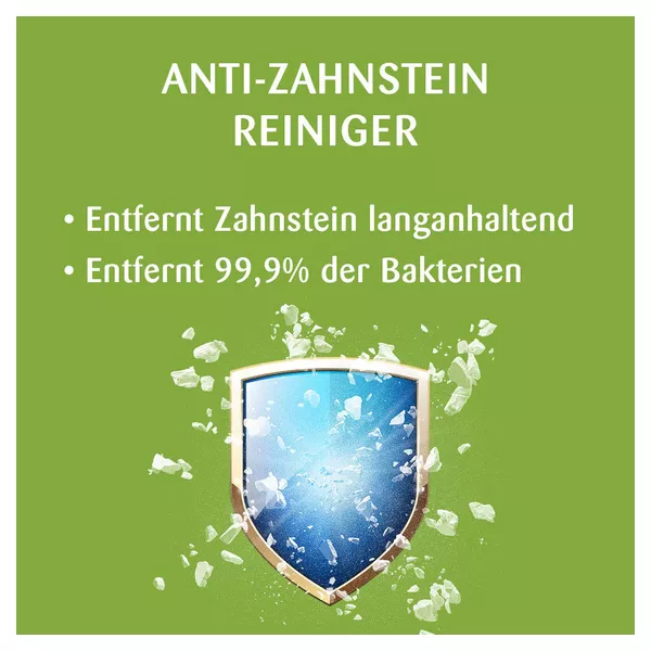 Kukident Anti Zahnstein Tabletten 30 St