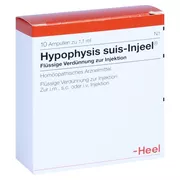Produktabbildung: Hypophysis SUIS Injeel Ampullen 10 St