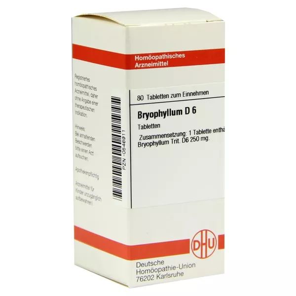 Bryophyllum D 6 Tabletten 80 St