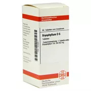 Produktabbildung: Bryophyllum D 6 Tabletten 80 St