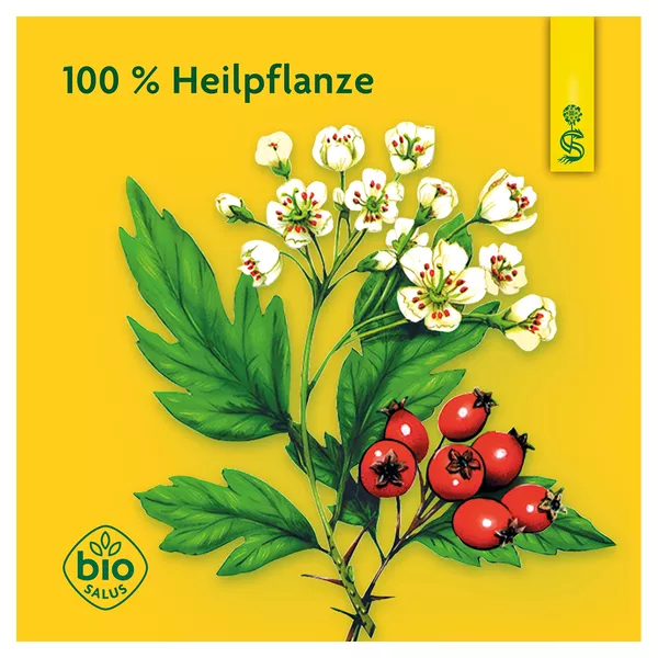 Schoenenberger Heilpflanzensaft Weißdorn, 200 ml
