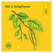 Birkensaft Schoenenberger Heilpflaneznsaft 3X200 ml