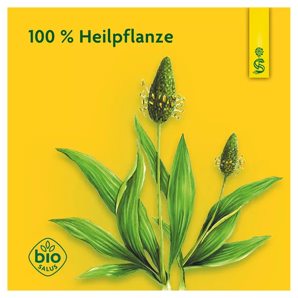Schoenenberger naturreiner Heilpflanzensaft Spitzwegerich 3X200 ml