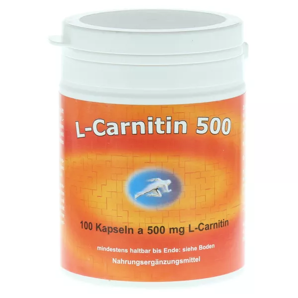 L-carnitin Kapseln 500 mg 100 St