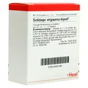Produktabbildung: Solidago Virgaurea Injeel Ampullen 10 St