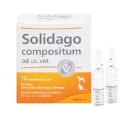 Produktabbildung: Solidago Compositum ad us.vet.Ampullen 10 St
