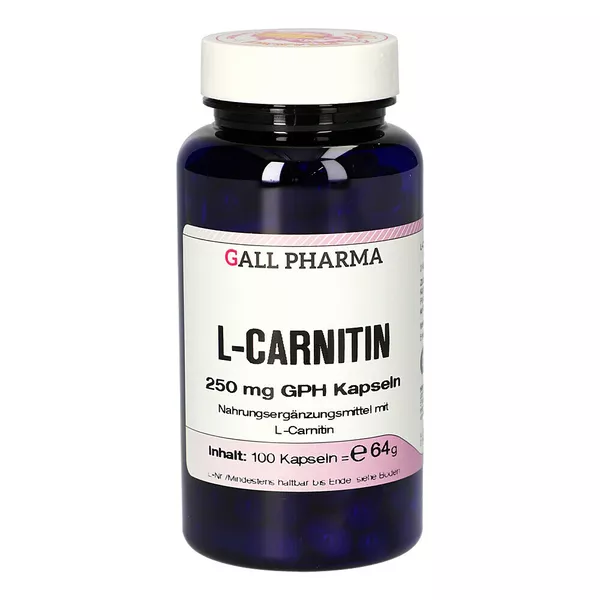 L-carnitin 250 mg Kapseln 100 St