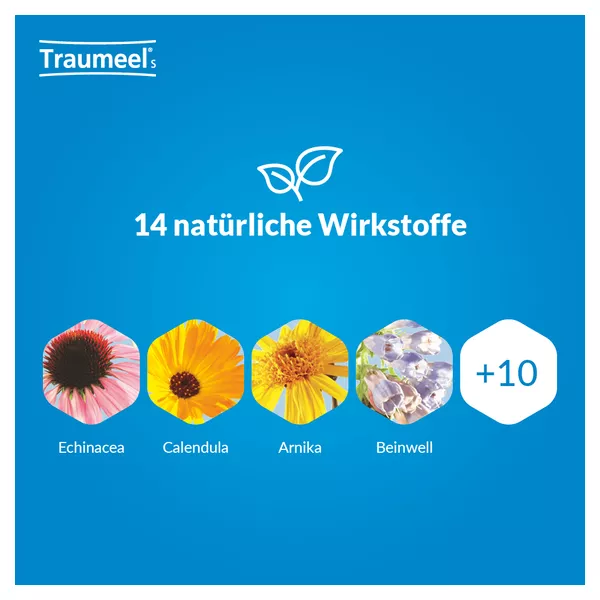 Traumeel S Creme, 100 g