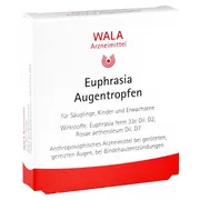 Produktabbildung: Euphrasia Augentropfen 5X0,5 ml