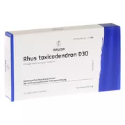 RHUS Toxicodendron D 30 Ampullen 8X1 ml