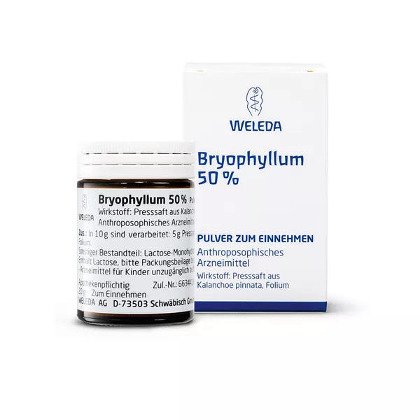 Bryophyllum 50% Pulver zum Einnehmen 50 g