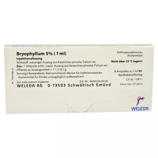 Bryophyllum 5% 1 ml Injektionslösung 8X1 ml