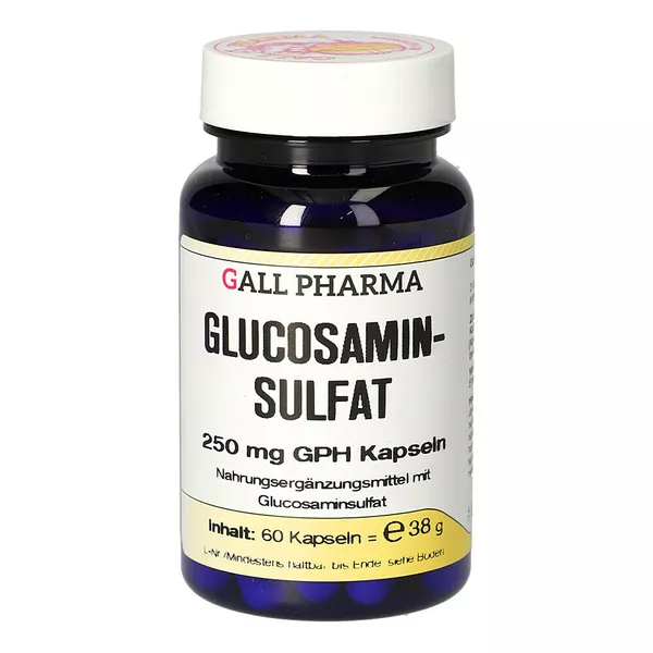 Glucosaminsulfat 250 mg GPH Kapseln 60 St