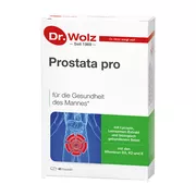 Produktabbildung: Prostata PRO Dr.wolz Kapseln 2X20 St