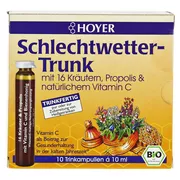 Hoyer Schlechtwetter Trunk Trinkampullen 10X10 ml
