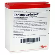 Produktabbildung: Echinacea Injeel Ampullen 10 St
