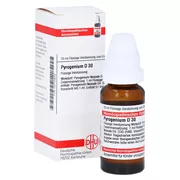 Pyrogenium D 30 Dilution 20 ml