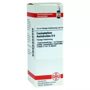 Produktabbildung: Caulophyllum Thalictroides D 6 Dilution 20 ml
