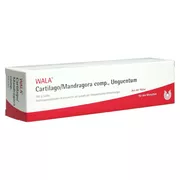 Produktabbildung: Cartilago/mandragora comp Unguentum 100 g