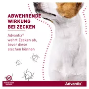 Advantix Spot-on Hunde bis 4 kg 4 St