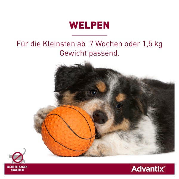 Advantix Spot-on Hunde bis 4 kg 4 St