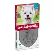 Advantix Spot-on Hunde 4-10 kg 4 St