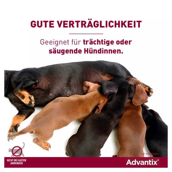 Advantix Spot-on Hunde 4-10 kg 4 St