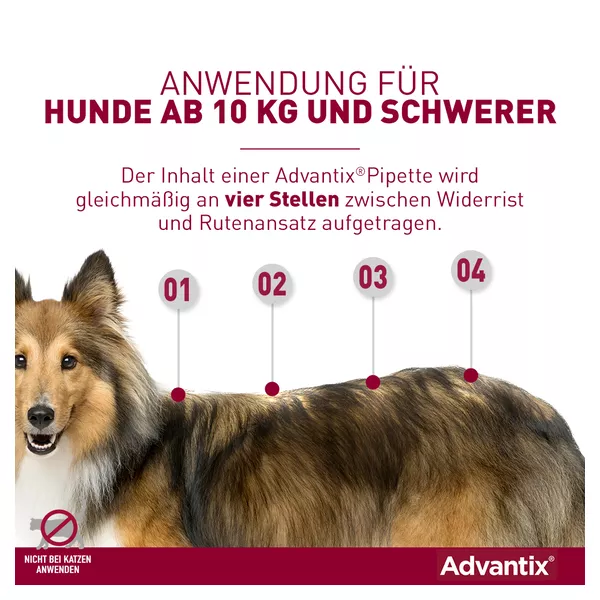 Advantix Spot-on Hunde 10-25 kg 4 St