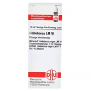 Helleborus LM VI Dilution 10 ml