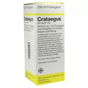 Produktabbildung: Crataegus Dilution vet. 250 ml