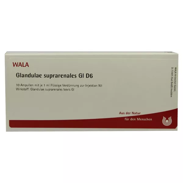 Glandulae Suprarenales GL D 6 Ampullen 10X1 ml