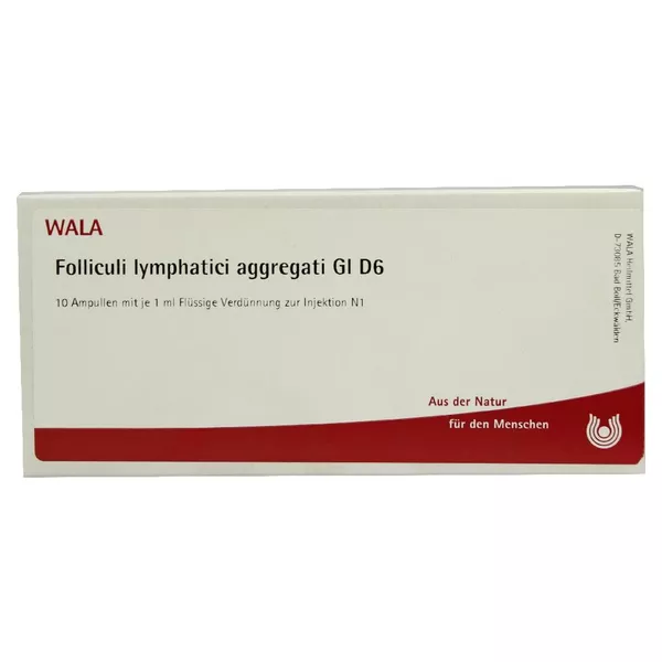 Folliculi Lymphatici Aggregati GL D 6 Am 10X1 ml