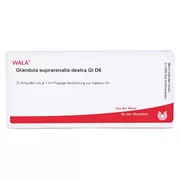 Glandula Suprarenales Dextra GL D 6 Ampu 10X1 ml