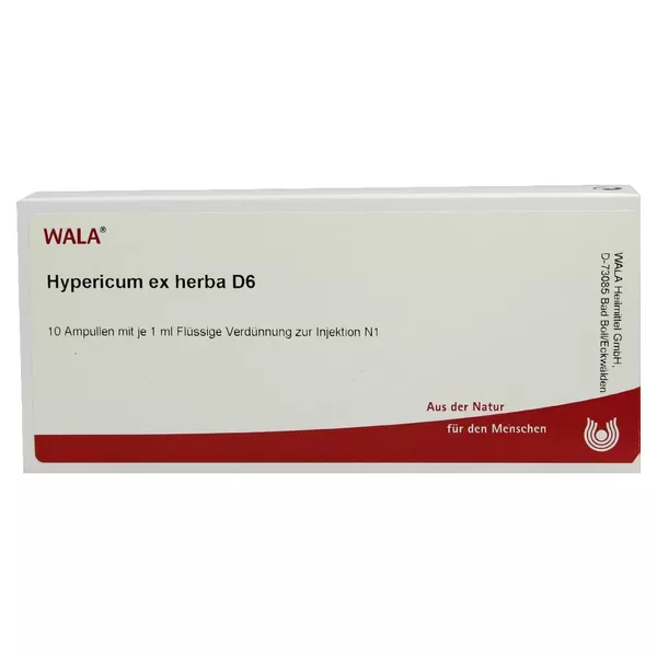 Hypericum EX Herba D 6 Ampullen, 10 x 1 ml